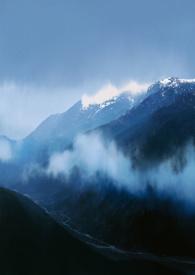 校园的秘密2小游戏图片