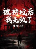 夜爵CC官声之巅峰权力