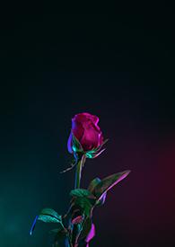 老是快穿成渣攻