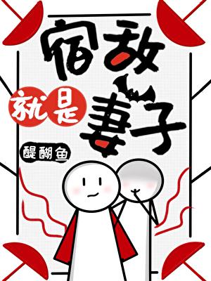 宿敌就是妻子！