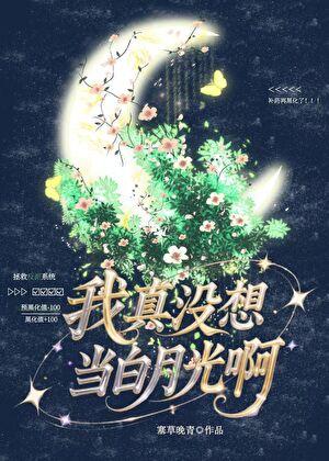 阴阳师之谁是主角