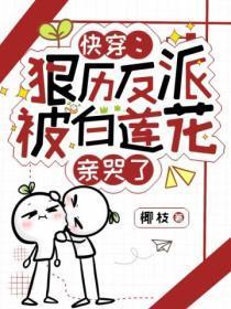 精灵掌门人介绍