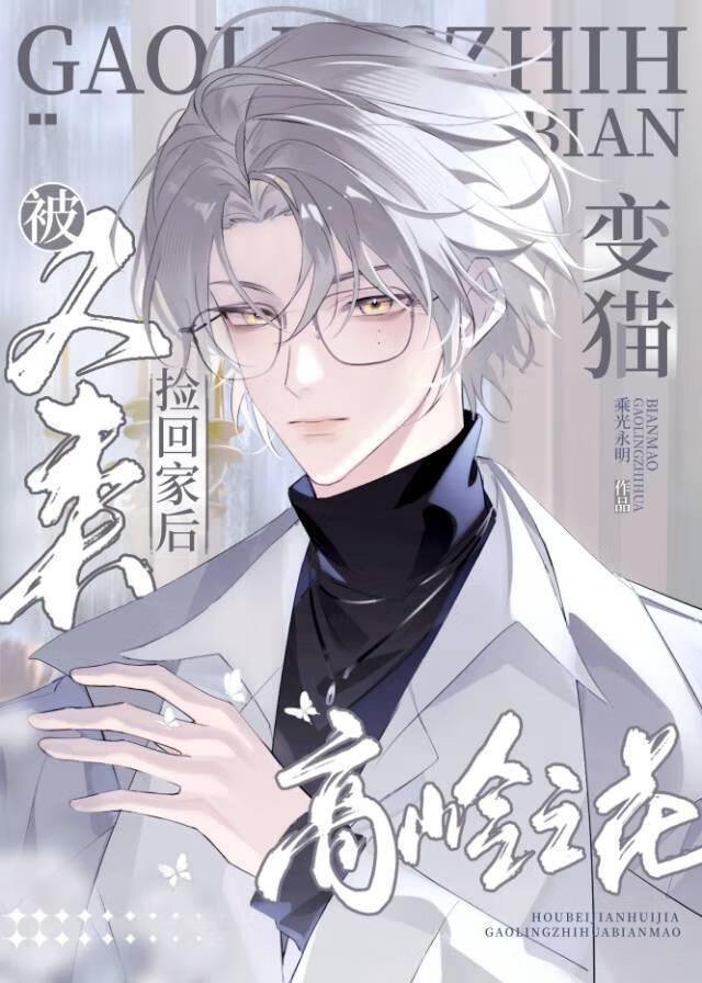 高岭之花变猫被人类捡回家
