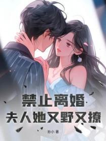 禁止离婚!夫人她又野又撩