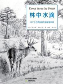 他的似锦钱橙笔趣阁