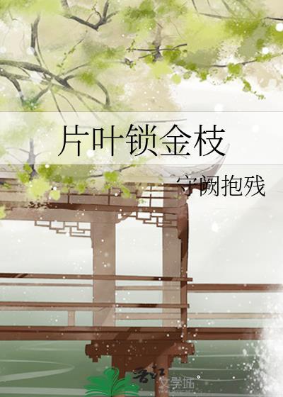 不坠黎明免费阅读