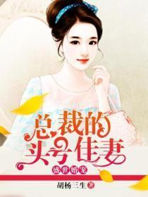 盛世婚宠:总裁的头号佳妻