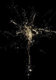 绝世狂医秦朗全文阅读