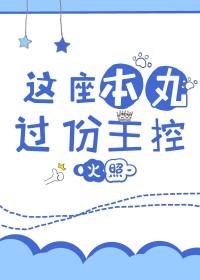 黑石密码全文免费阅读