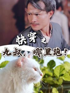 相错亲闪婚推荐