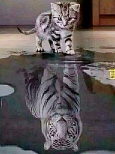 稳住别浪鹿细细结局