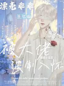 我家老婆是娇气包无广告免费阅读