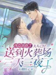 高天之上无弹窗全文免费阅读