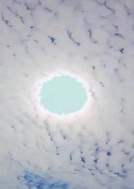 优质攻略系统全文免费阅读