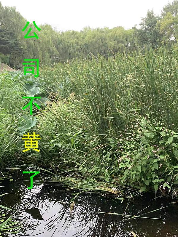 娱乐春秋笔趣阁无弹窗