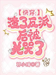 主人公叫叶不凡的叫什么名字