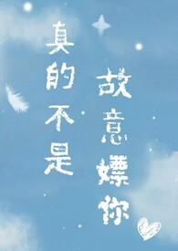 毛茸茸怎么理解