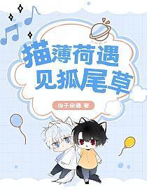 台妹在台湾什么意思