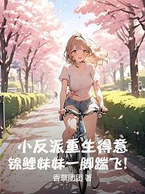 换亲赚翻了!我嫁病秧子得诰命 宋锦