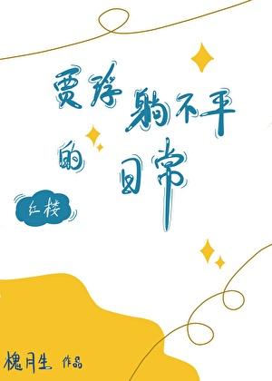 逐道长青女主角有几个