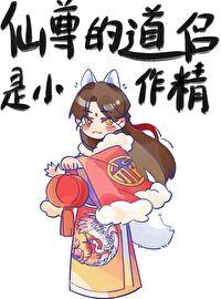 精灵掌门人伊布进化多少章