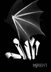 重生后残疾夫君真香了