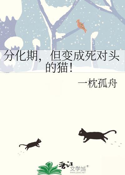 东北风情宿命熟女之惑 沈阳