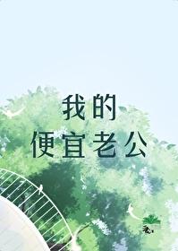 总裁封锁机场