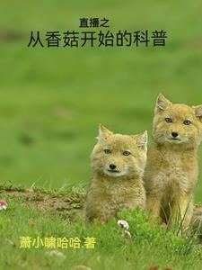 七零大院白富美时光