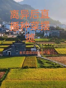 绝世天命大反派境界划分