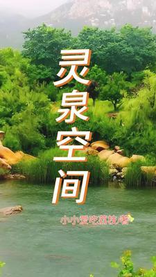 灵动之心