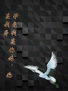 我的属性修行人生几个女主