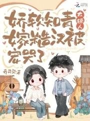 寒门官途