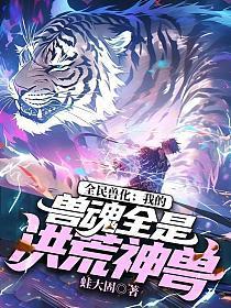 白袍总管境界划分