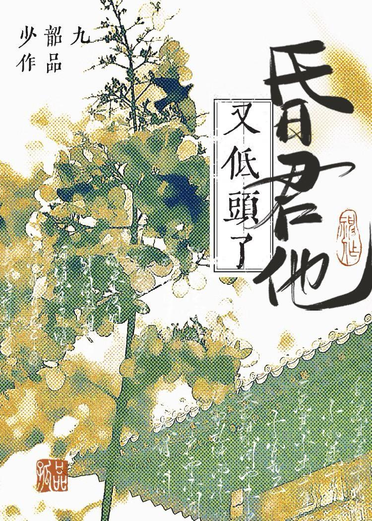 华夏入侵修改NTL版