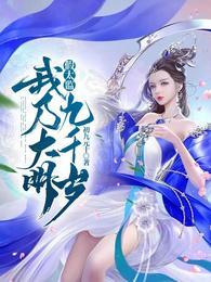 高山雪菊图片大全